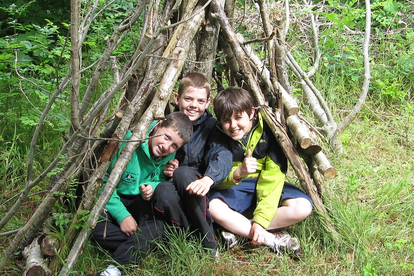 Shelter