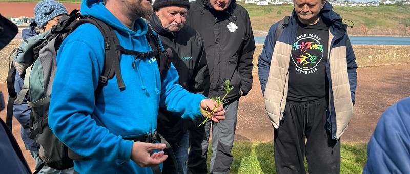 Rediscovering the Coast: The Joy of Foraging Walks