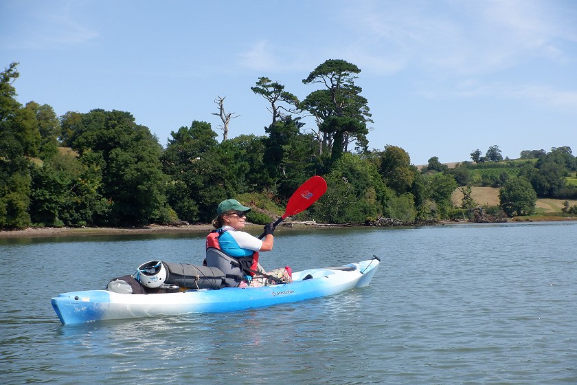Tranquil Estuaries